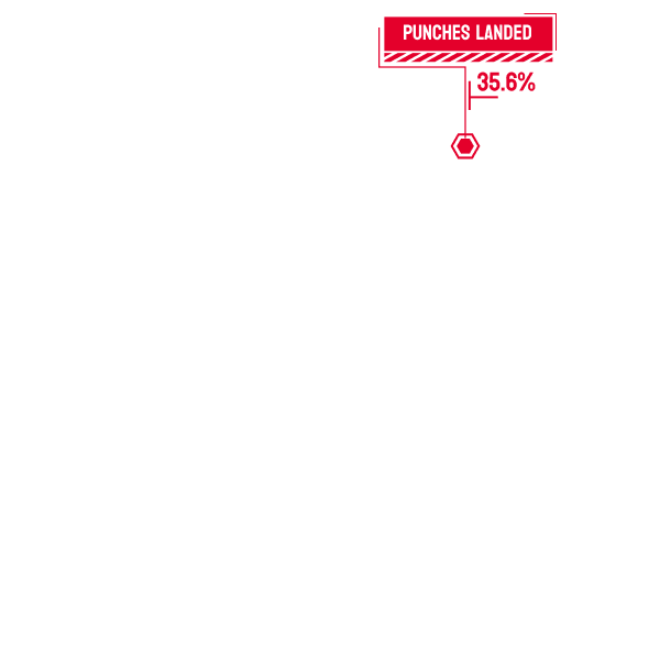 POWERFUL BOXING DATA SOLUTIONS